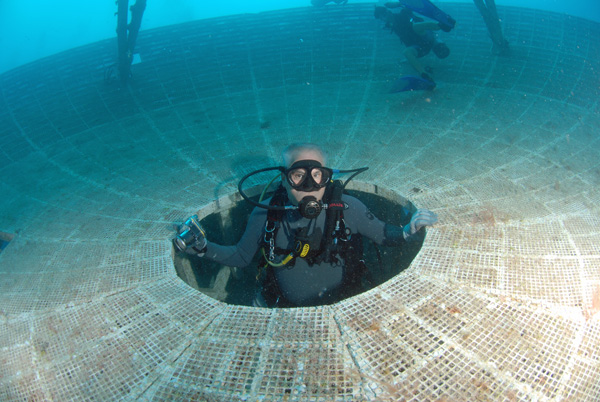 Chuck in the dish1