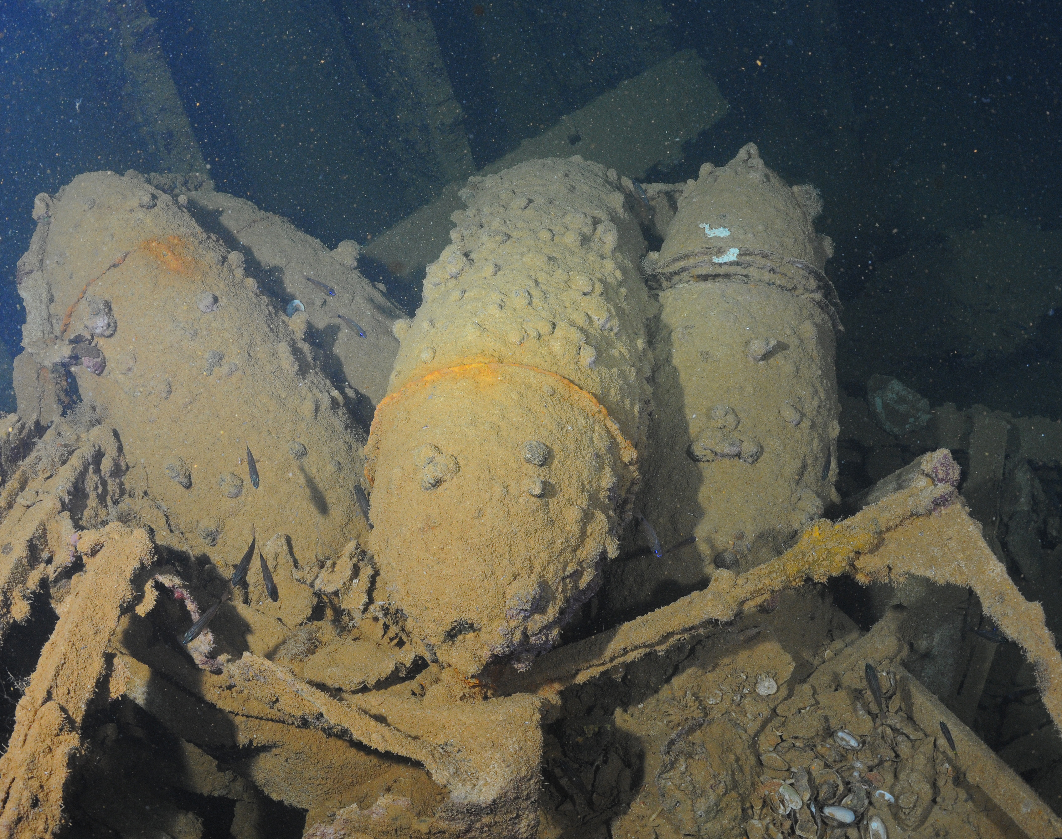 Heian Maru 6