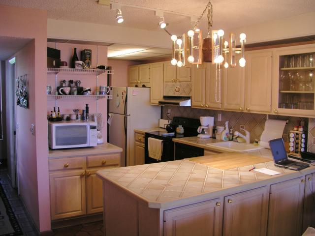 Condo Kitchen